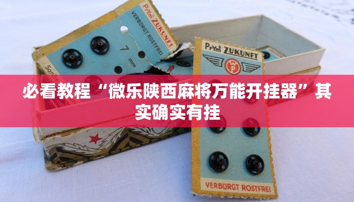 必看教程“微乐陕西麻将万能开挂器”其实确实有挂