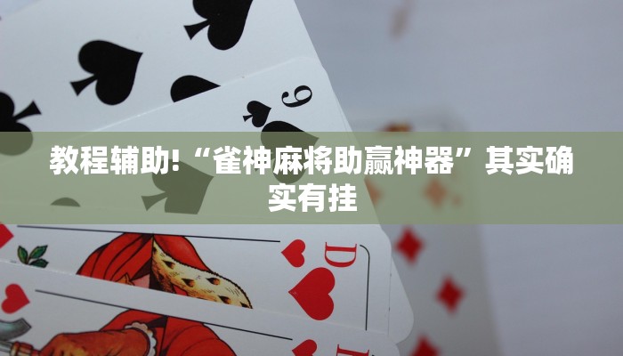 必看教程“授权二厅辅助器”其实确实有挂