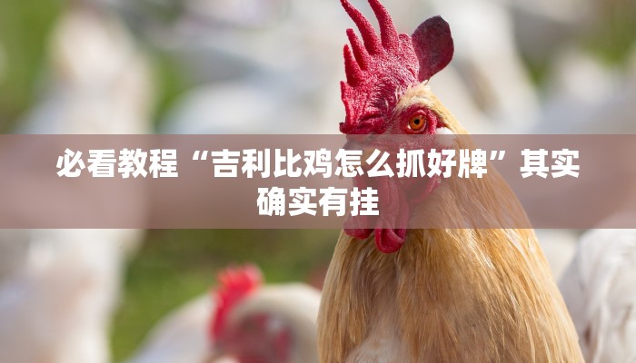 必看教程“吉利比鸡怎么抓好牌”其实确实有挂