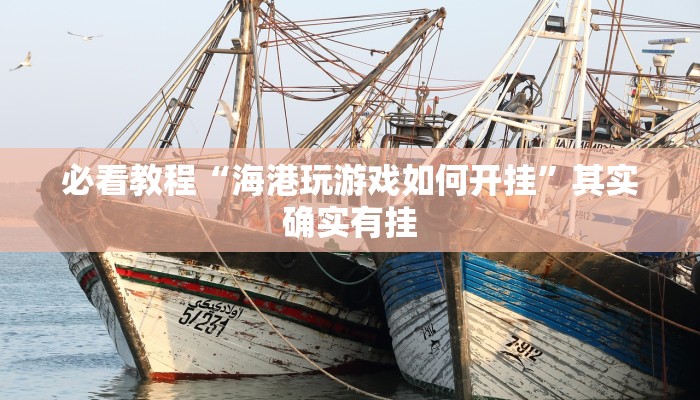 教程辅助!“非凡贪玩有挂吗”其实确实有挂