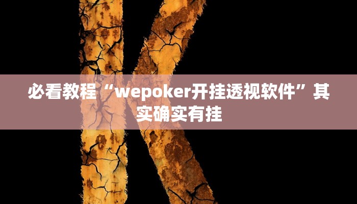 必看教程“八闽十三张怎么开挂”其实确实有挂