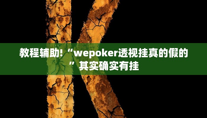 必看教程“北方家乡游戏辅助器免费版”其实确实有挂