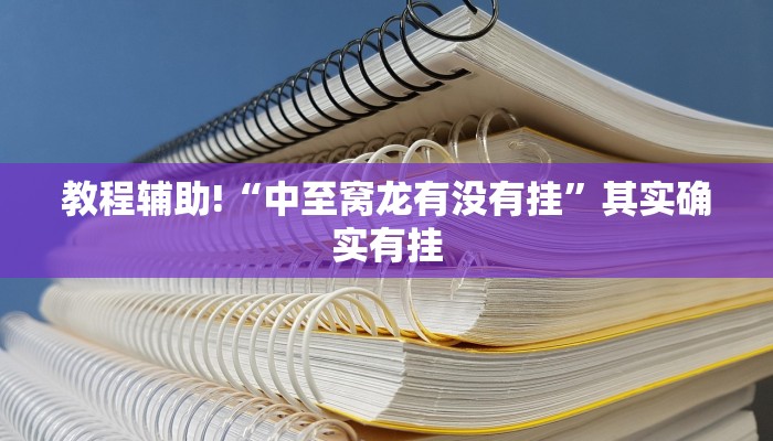 教程辅助!“中至窝龙有没有挂”其实确实有挂