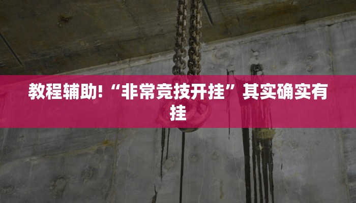 必看教程“闲逸游戏辅助器免费版”其实确实有挂