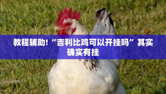 教程辅助!“吉利比鸡可以开挂吗”其实确实有挂