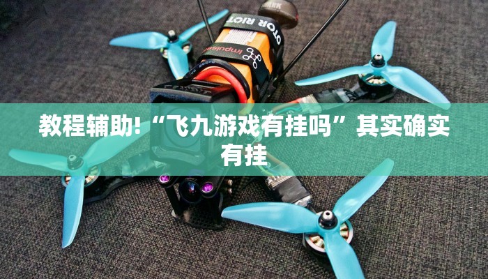 教程辅助!“飞九游戏有挂吗”其实确实有挂