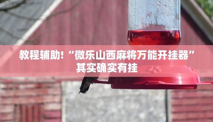 教程辅助!“天天贵阳麻将可以开挂吗”其实确实有挂