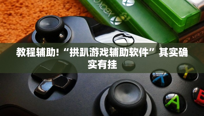 教程辅助!“拱趴游戏辅助软件”其实确实有挂