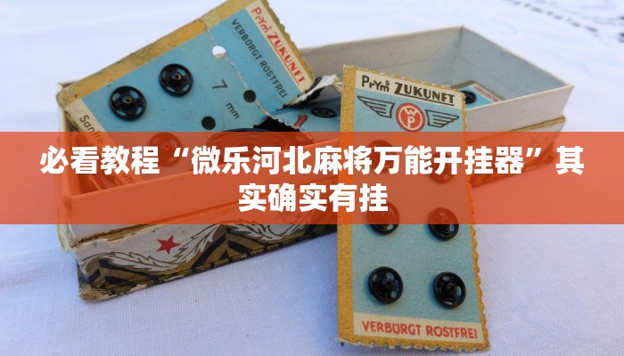 必看教程“微乐河北麻将万能开挂器”其实确实有挂