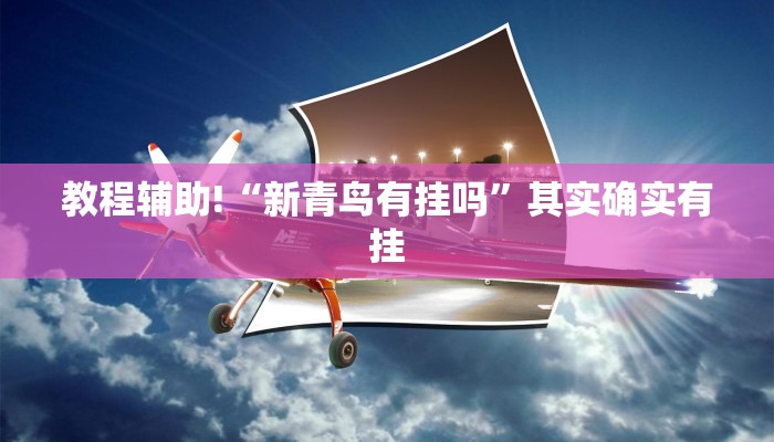 教程辅助!“永盛联盟开挂辅助软件”其实确实有挂