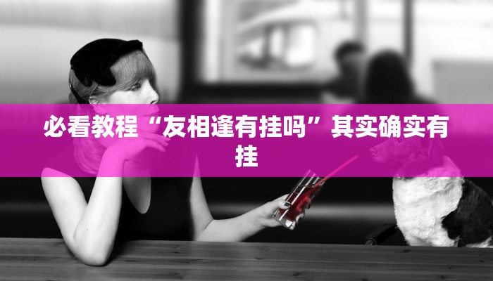 必看教程“友相逢有挂吗”其实确实有挂