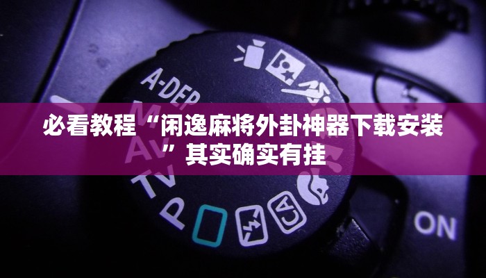 必看教程“闲逸麻将外卦神器下载安装”其实确实有挂