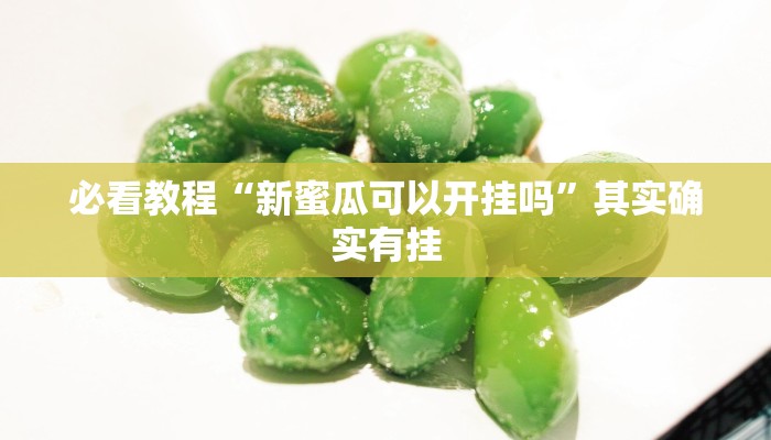 必看教程“新蜜瓜可以开挂吗”其实确实有挂