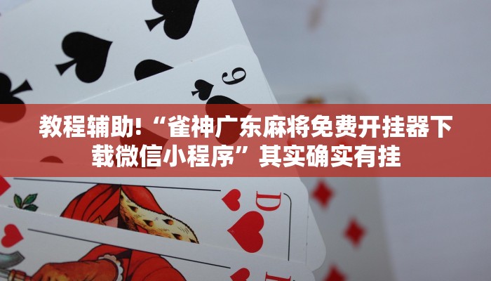 教程辅助!“雀神广东麻将免费开挂器下载微信小程序”其实确实有挂