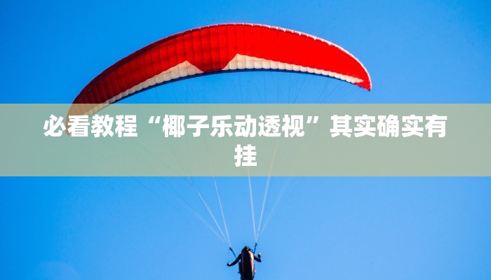 必看教程“椰子乐动透视”其实确实有挂
