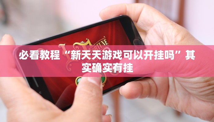 必看教程“新天天游戏可以开挂吗”其实确实有挂