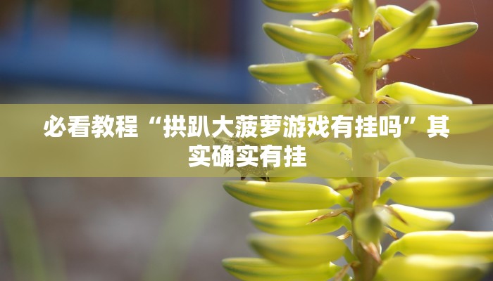 必看教程“乐乐四川麻将有没有挂”其实确实有挂