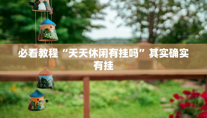 必看教程“天天休闲有挂吗”其实确实有挂