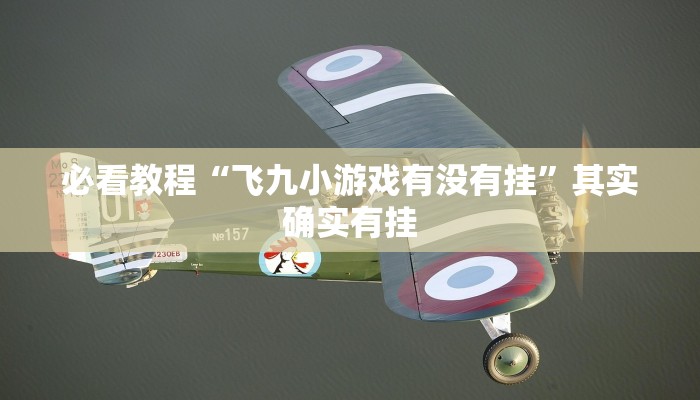 必看教程“飞九小游戏有没有挂”其实确实有挂