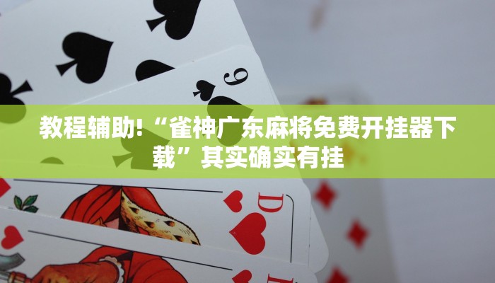 必看教程“桂麻圈有挂吗”其实确实有挂