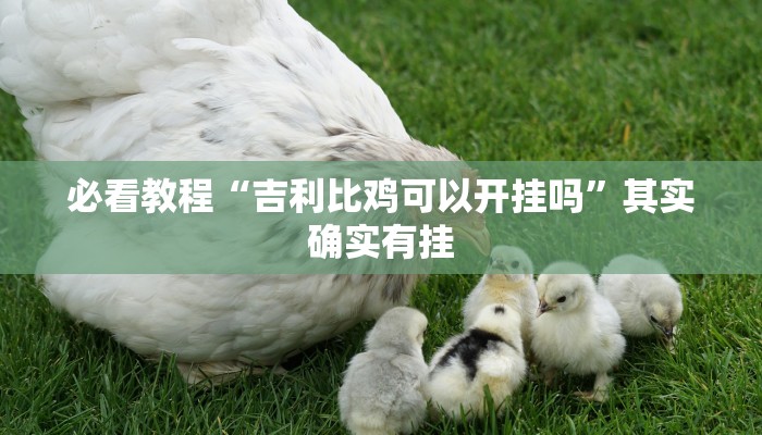 教程辅助!“wepoker作弊开挂方法--原来有挂”其实确实有挂