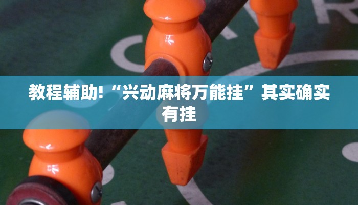 教程辅助!“兴动麻将万能挂”其实确实有挂