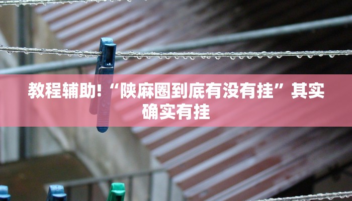 教程辅助!“陕麻圈到底有没有挂”其实确实有挂