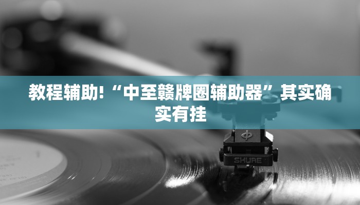 教程辅助!“中至赣牌圈辅助器”其实确实有挂