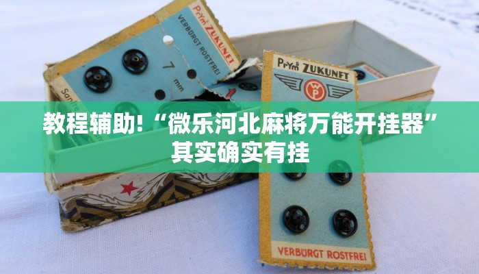 教程辅助!“微乐河北麻将万能开挂器”其实确实有挂