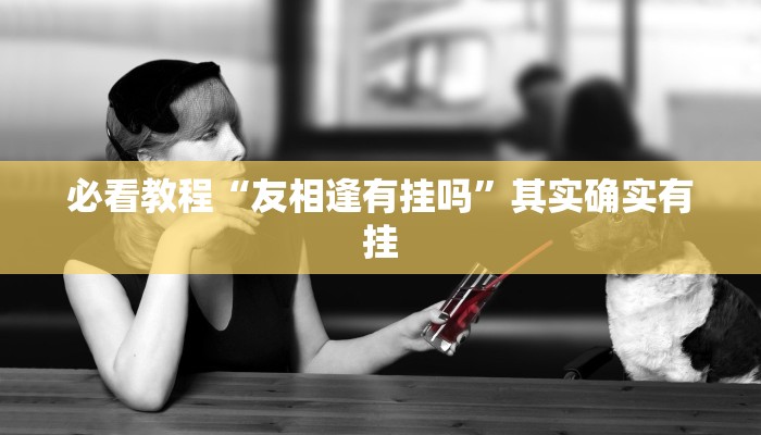 必看教程“友相逢有挂吗”其实确实有挂