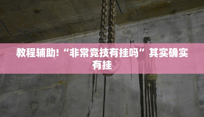 教程辅助!“非常竞技有挂吗”其实确实有挂