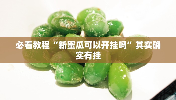 必看教程“新蜜瓜可以开挂吗”其实确实有挂